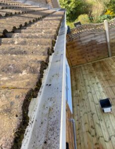 whatsapp image 2025 09 24 at 22.21.15