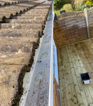 whatsapp image 2025 09 24 at 22.21.15