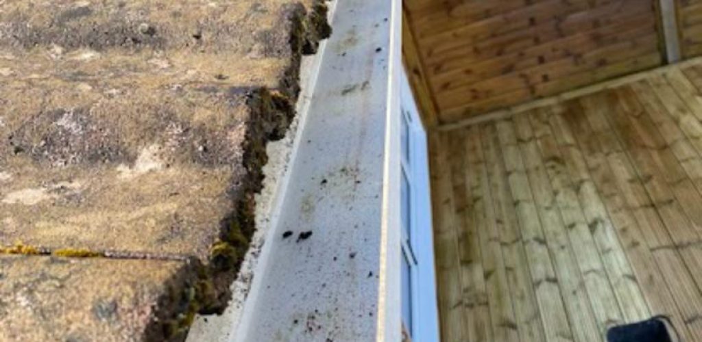 whatsapp image 2025 09 24 at 22.21.15